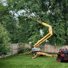 Best Hedge Trimming  in Sand Lake, MI